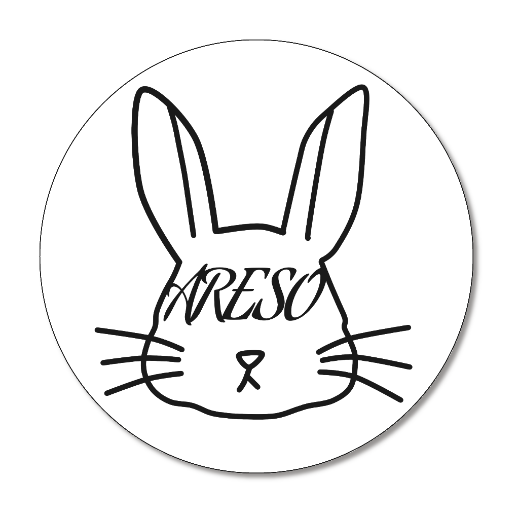 ARESOコースター