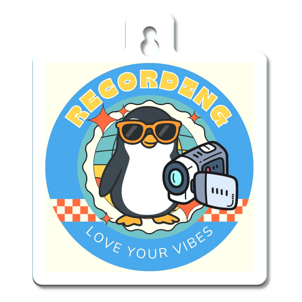 カーステッカー/ドライブレコーダー搭載デザイン