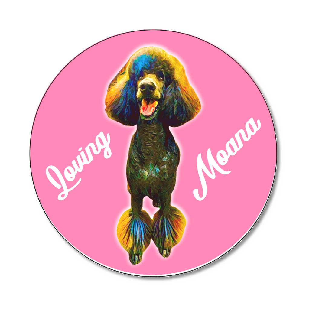 缶バッジ大(直径75㎜)2