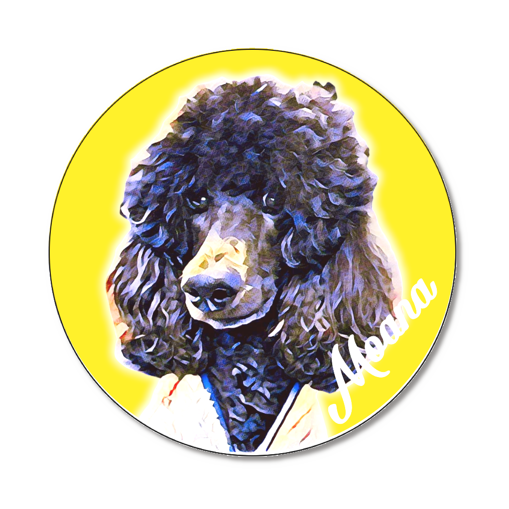 缶バッジ大(直径75㎜)1