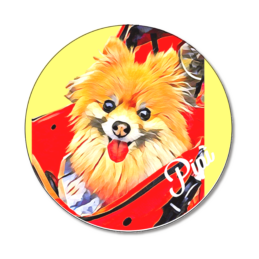 缶バッジ大(直径75㎜)