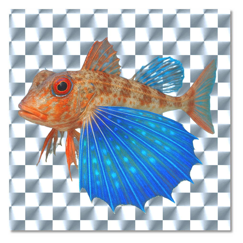 キホウボウキラキラシール　シルバー（10枚組）