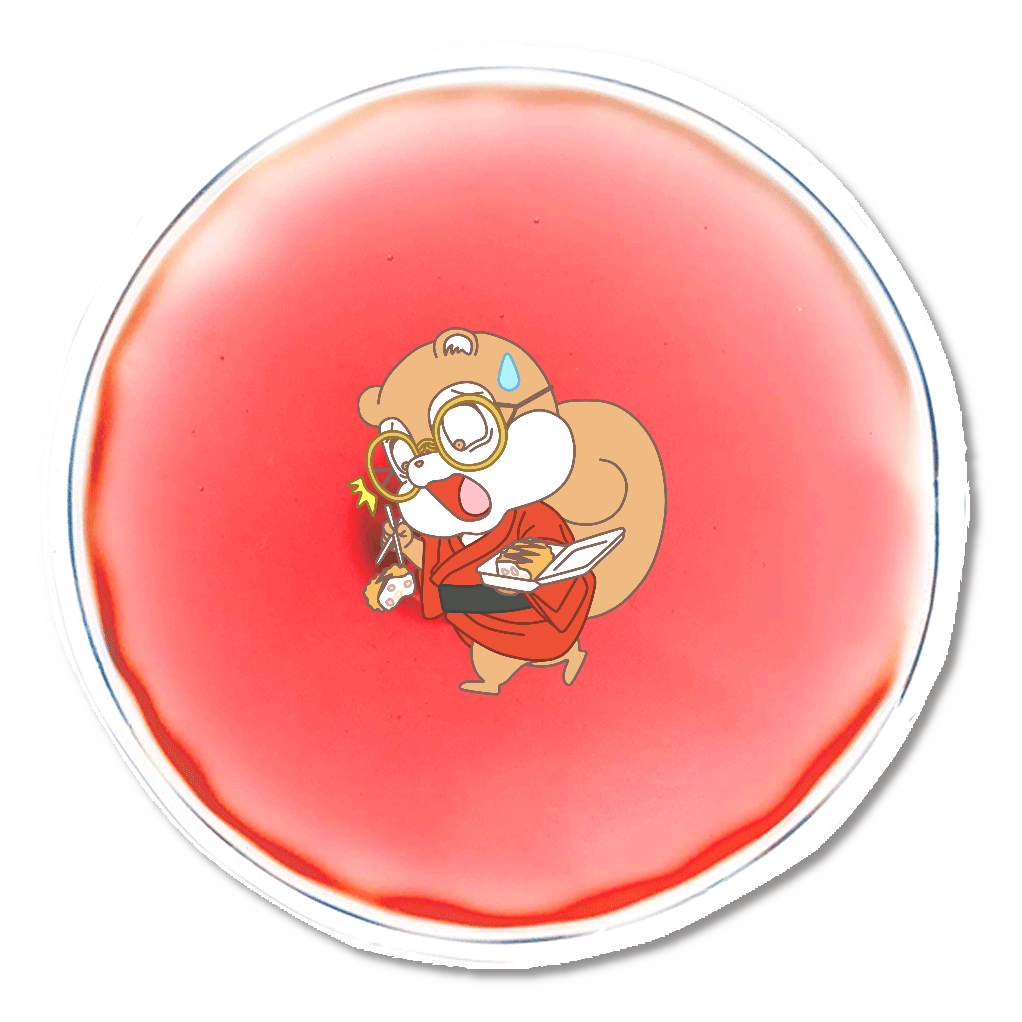 もりの ちびっこ みならい へいし 丙 エコカイロ