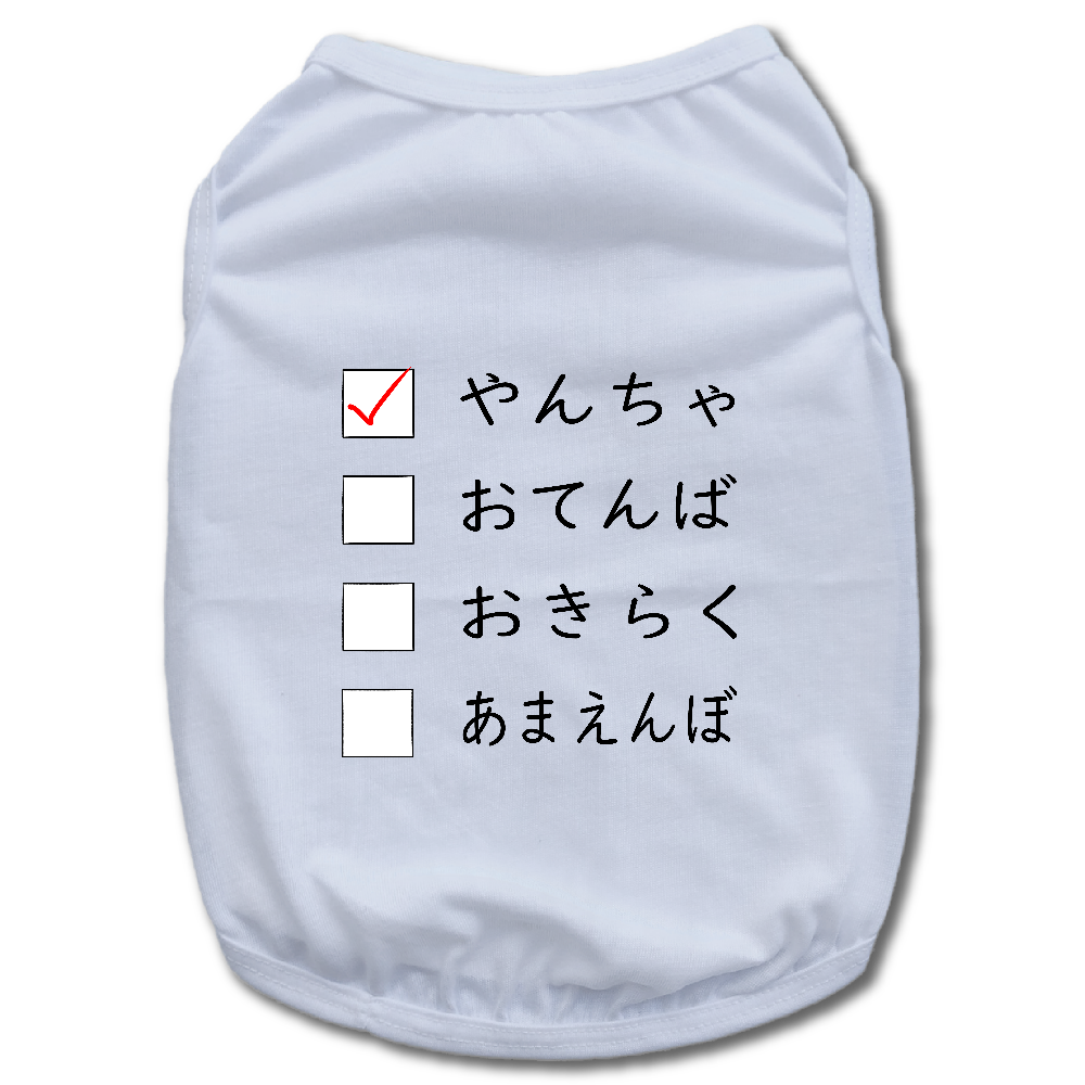 どんなタイプ?【やんちゃ】