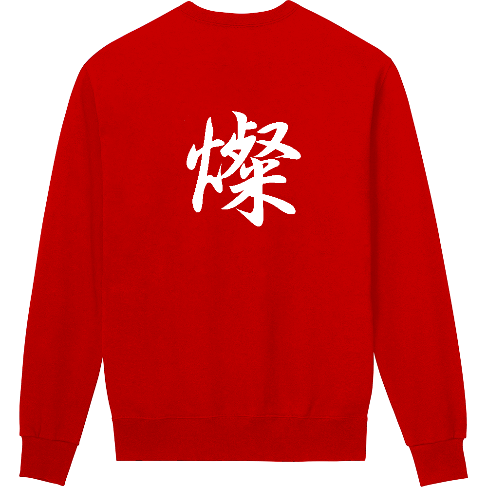 還暦祝いの勝負服 赤地に白字 背に毛筆体「燦かがやき」