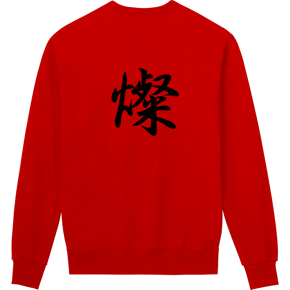 還暦祝いの勝負服 赤地に黒字 背に毛筆体「燦かがやき」