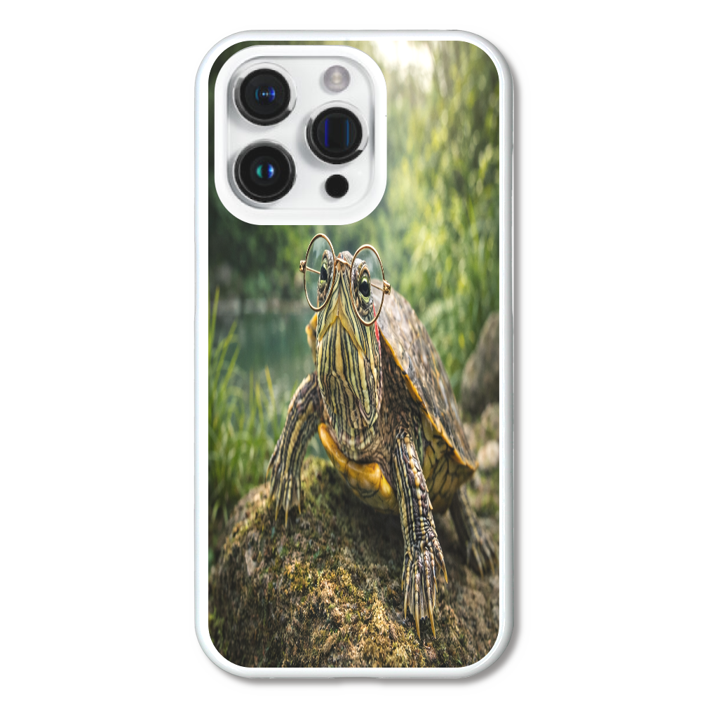 癒しのミドリガメ｜森の清流でひと休み iPhone15Pro