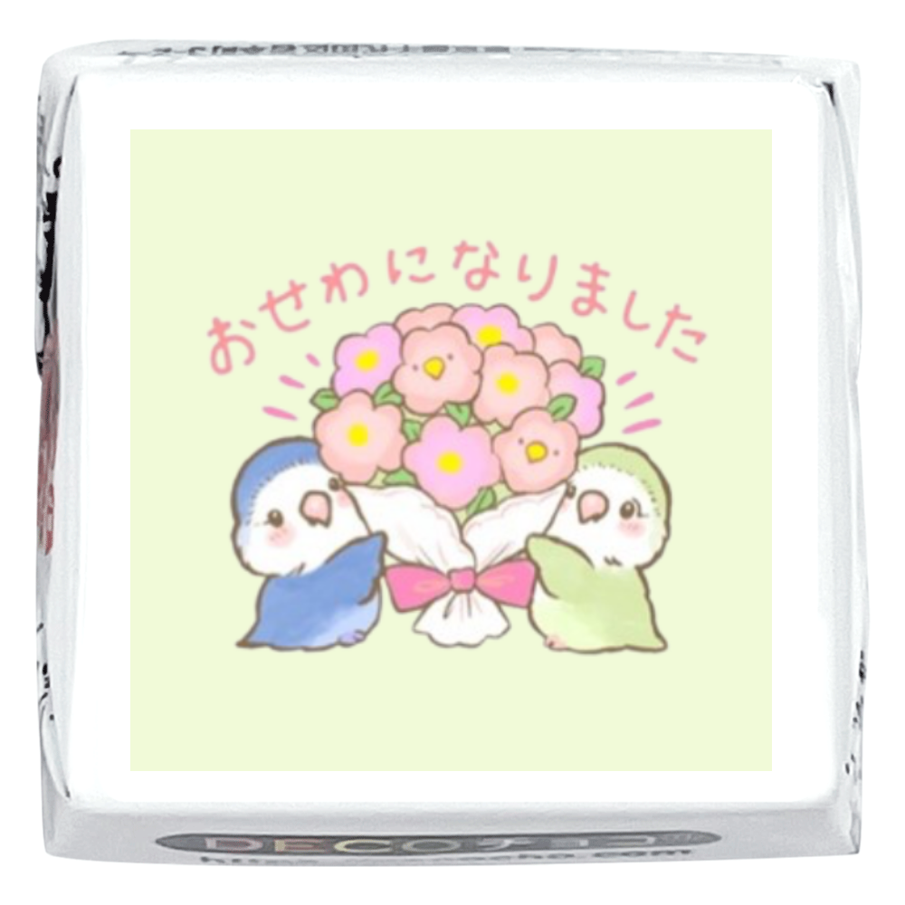 DECOチョコ15個 コザクラインコのあおちゃんとあもちゃん お世話になりました
