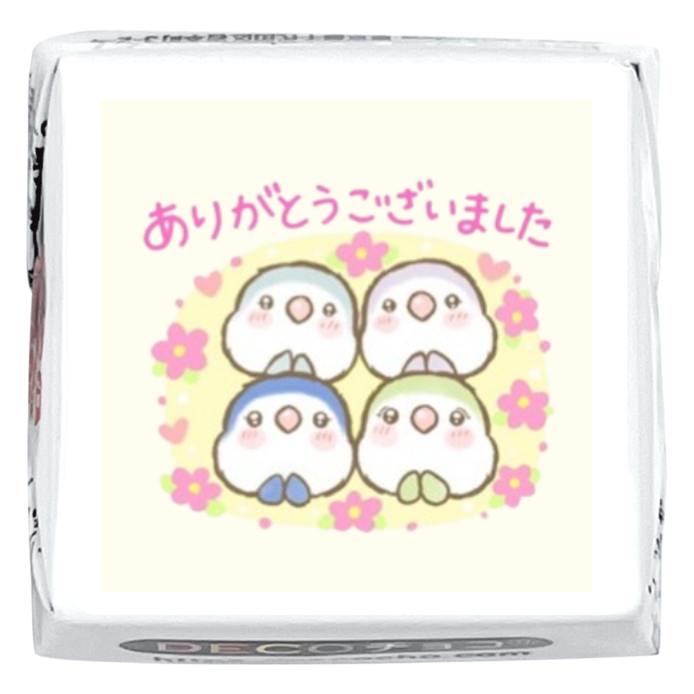 DECOチョコ15個 コザクラインコあおちゃんとあもちゃんとネモリラ ありがとうございました