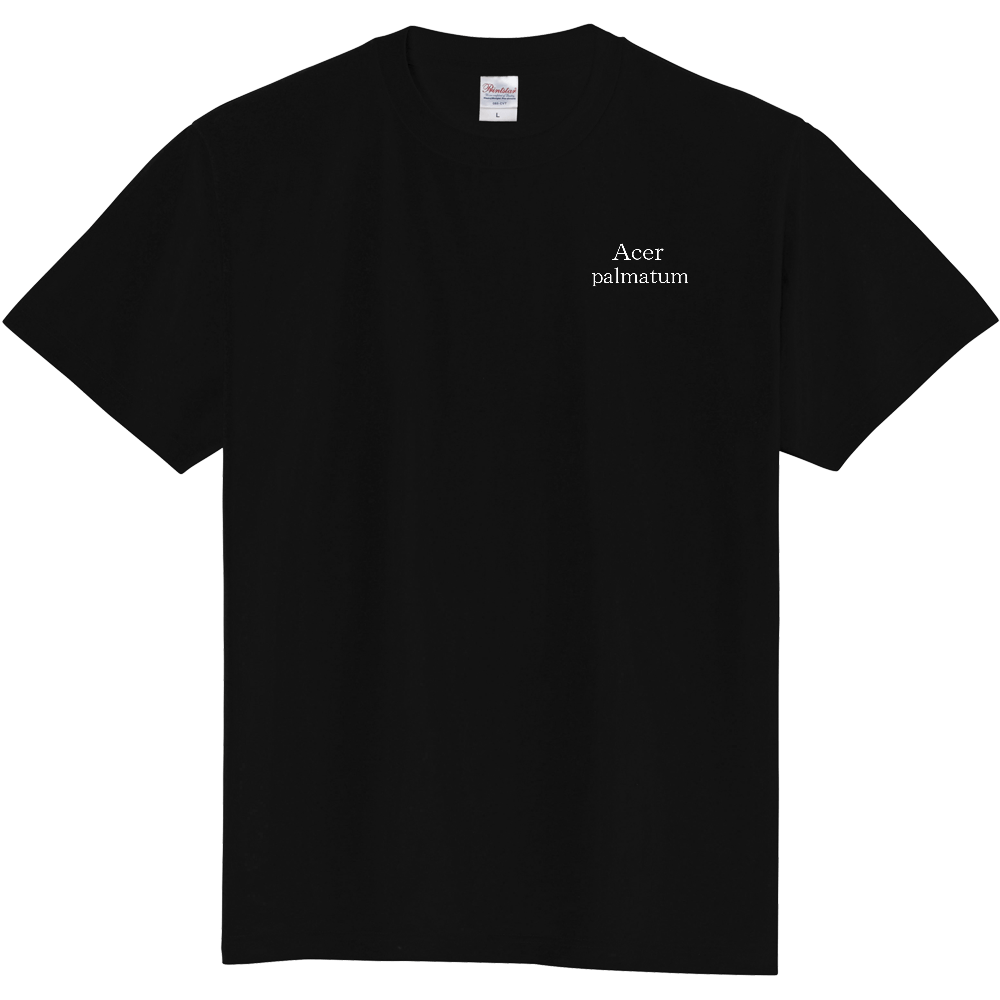 花言葉「大切な思い出」イロハモミジ