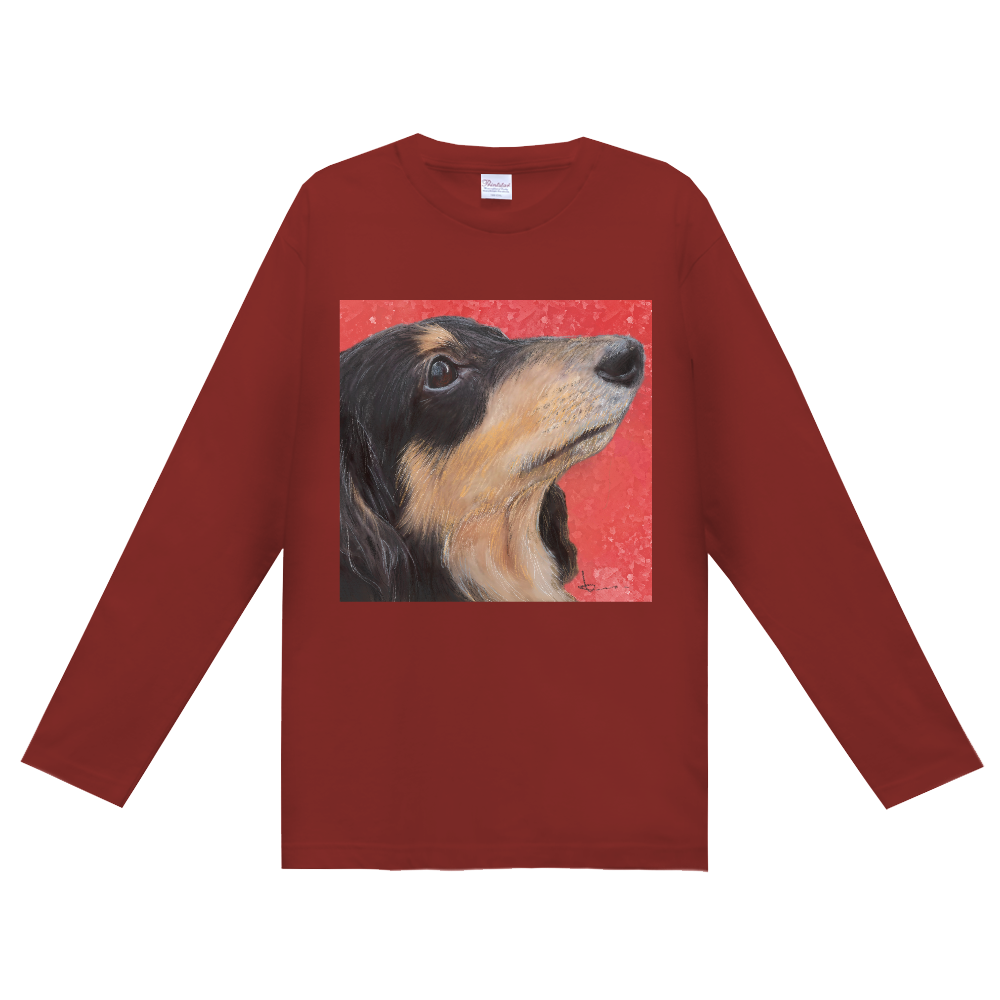 ダックスの長袖シャツだよ！