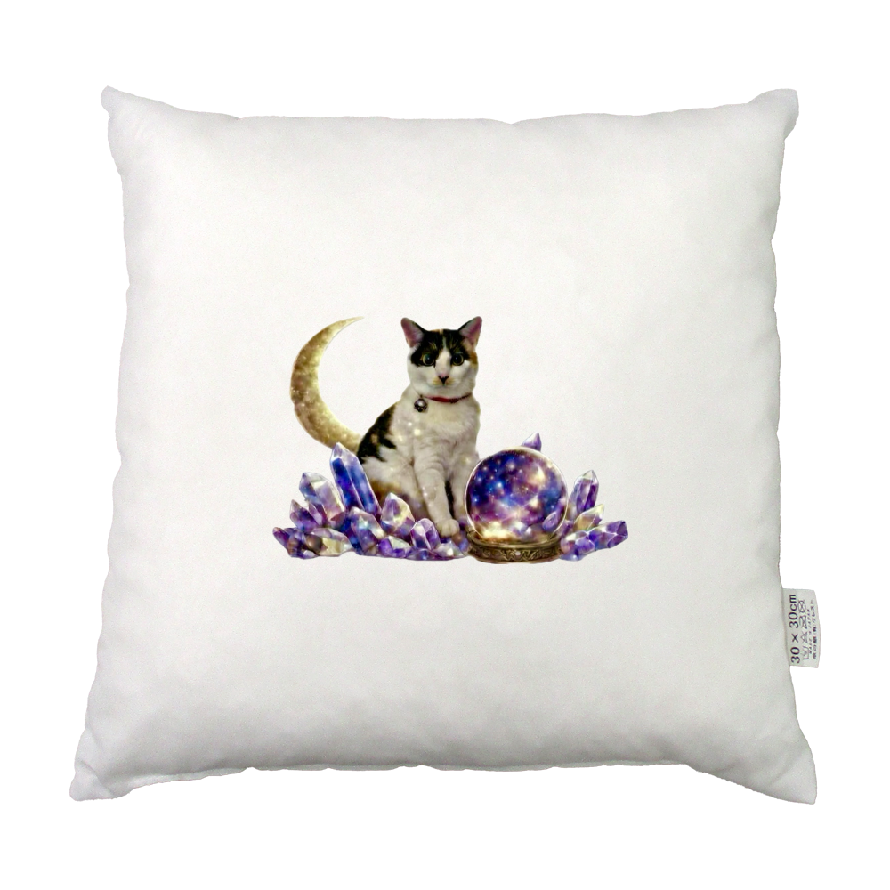 宇宙猫スプの守護クッションケース(クッション付き)30cm×30cm