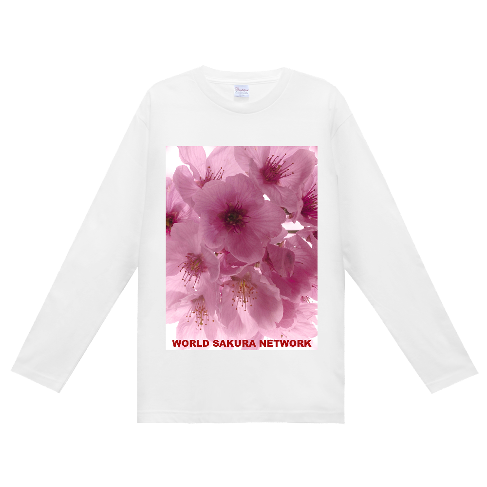 World Sakura Network 2026