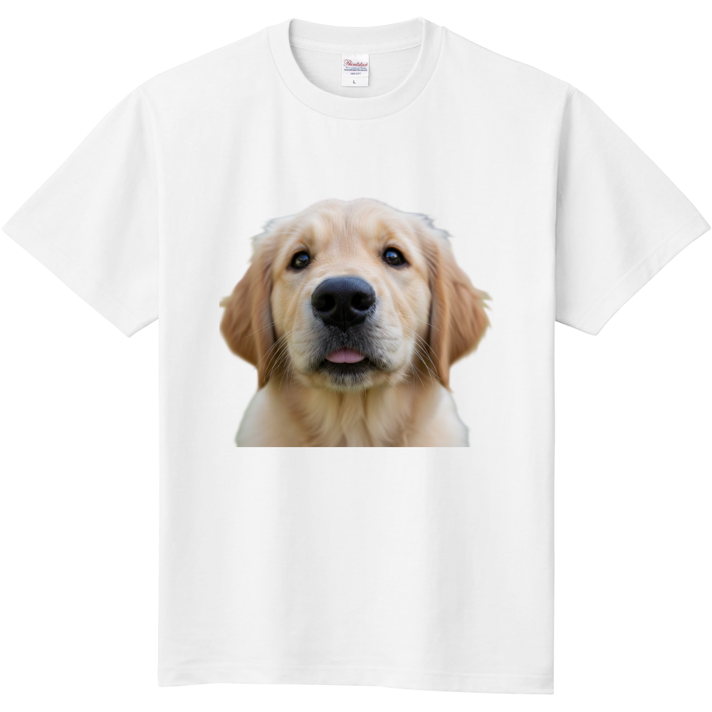 仔犬のゴールデンレトリバー顔アップ(半袖)