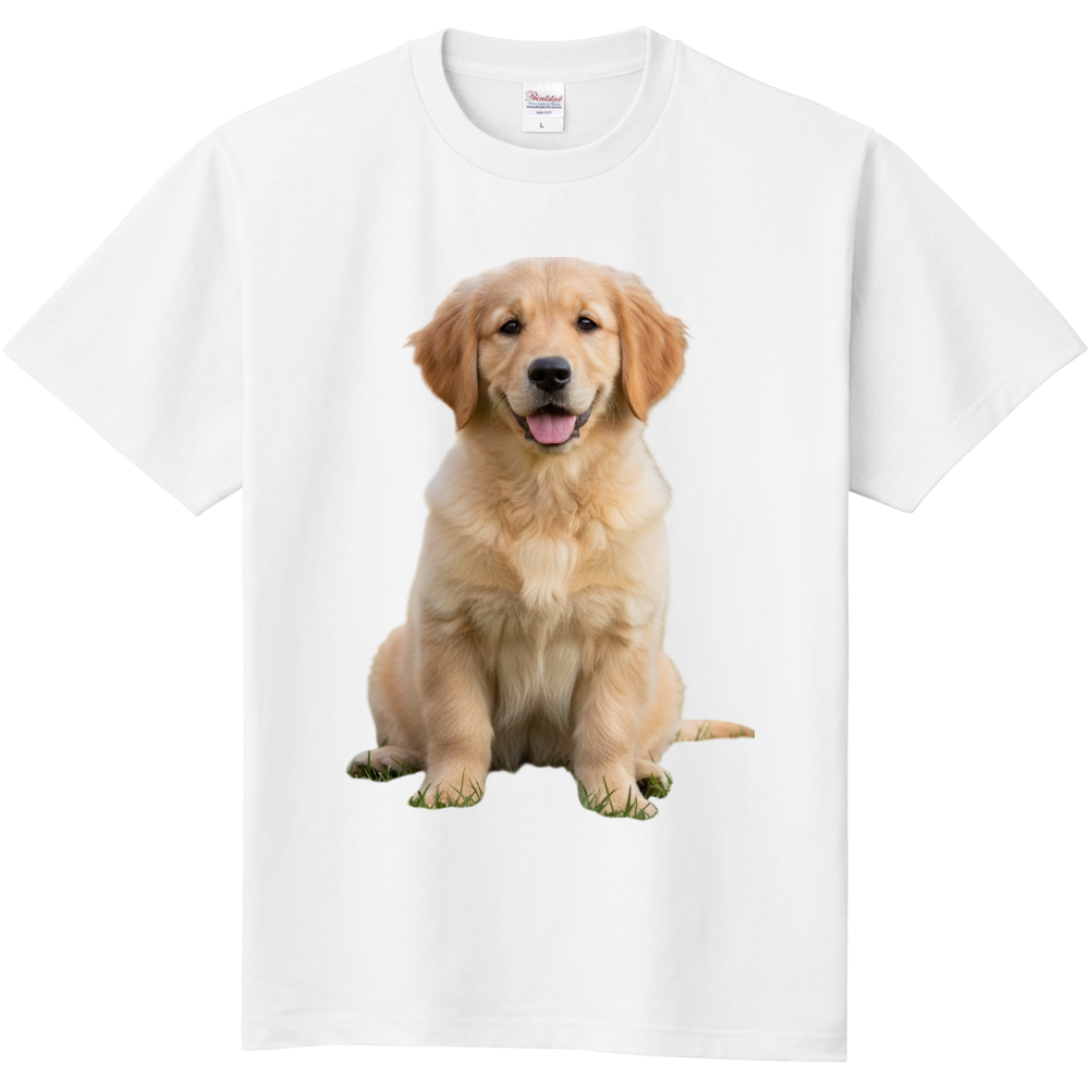 お座りするゴールデンレトリバー(半袖)