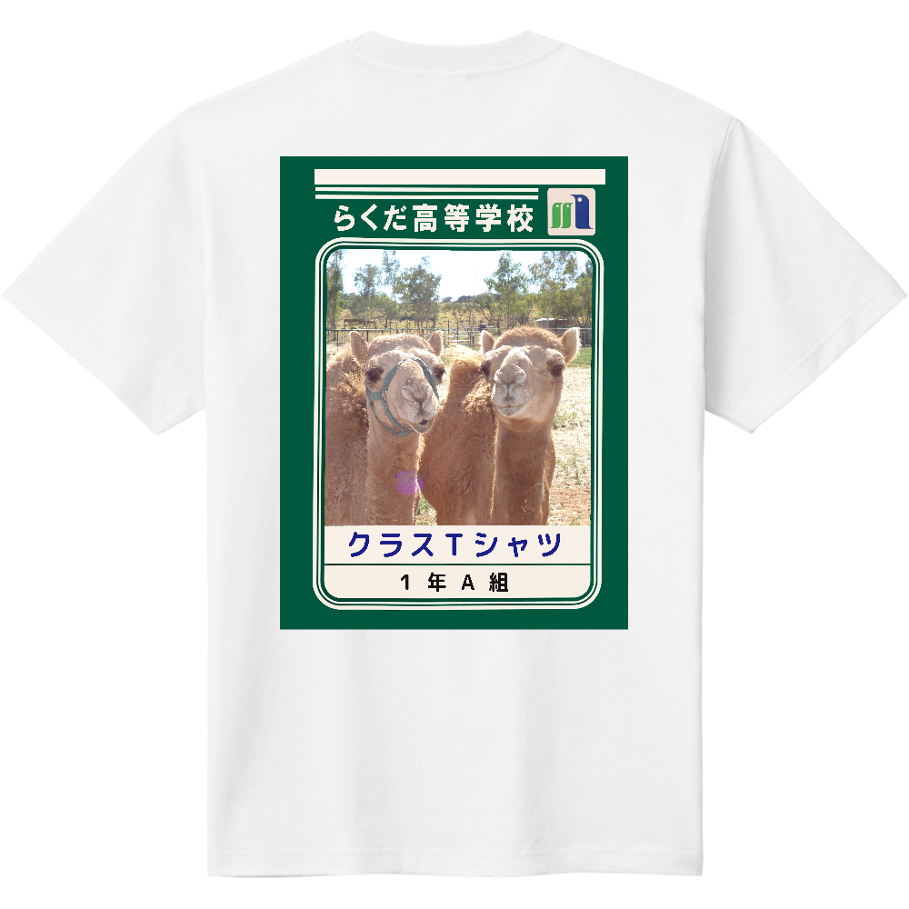 クラスＴシャツ　1年A組