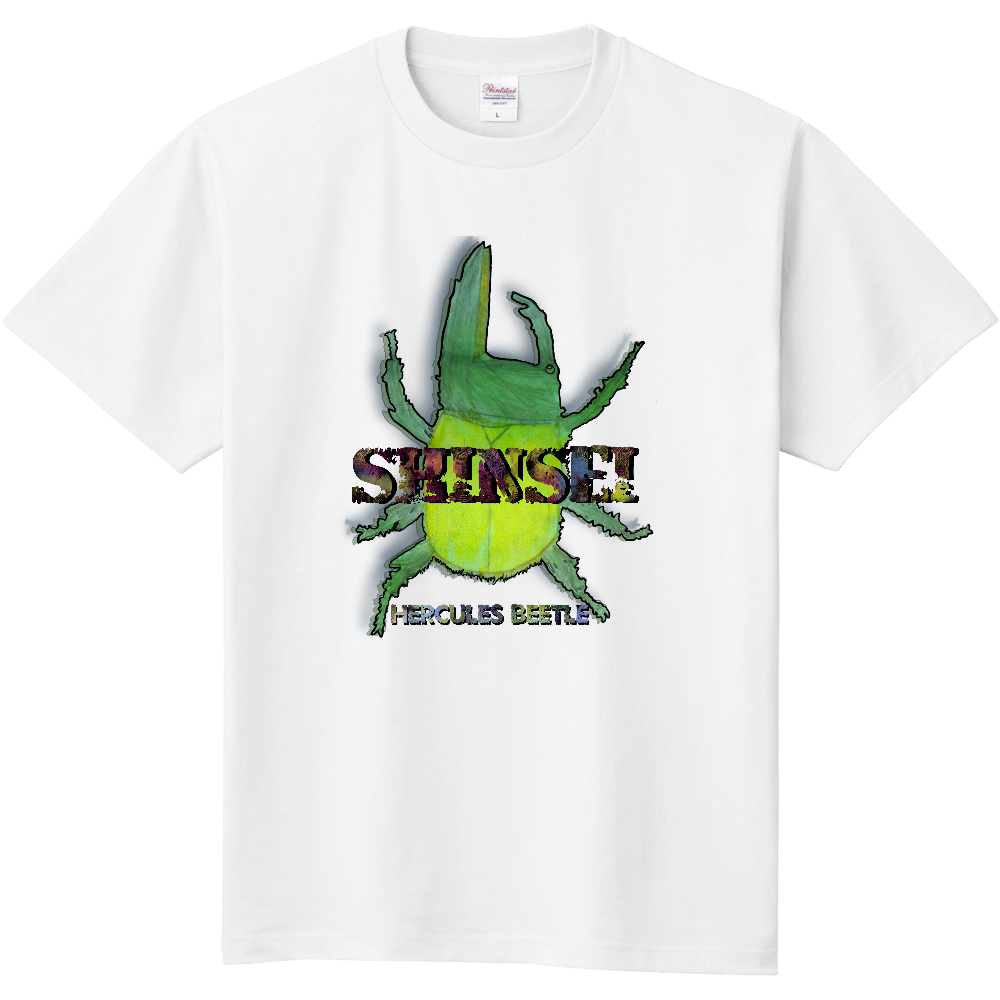 SHINSEI 専用デザイン