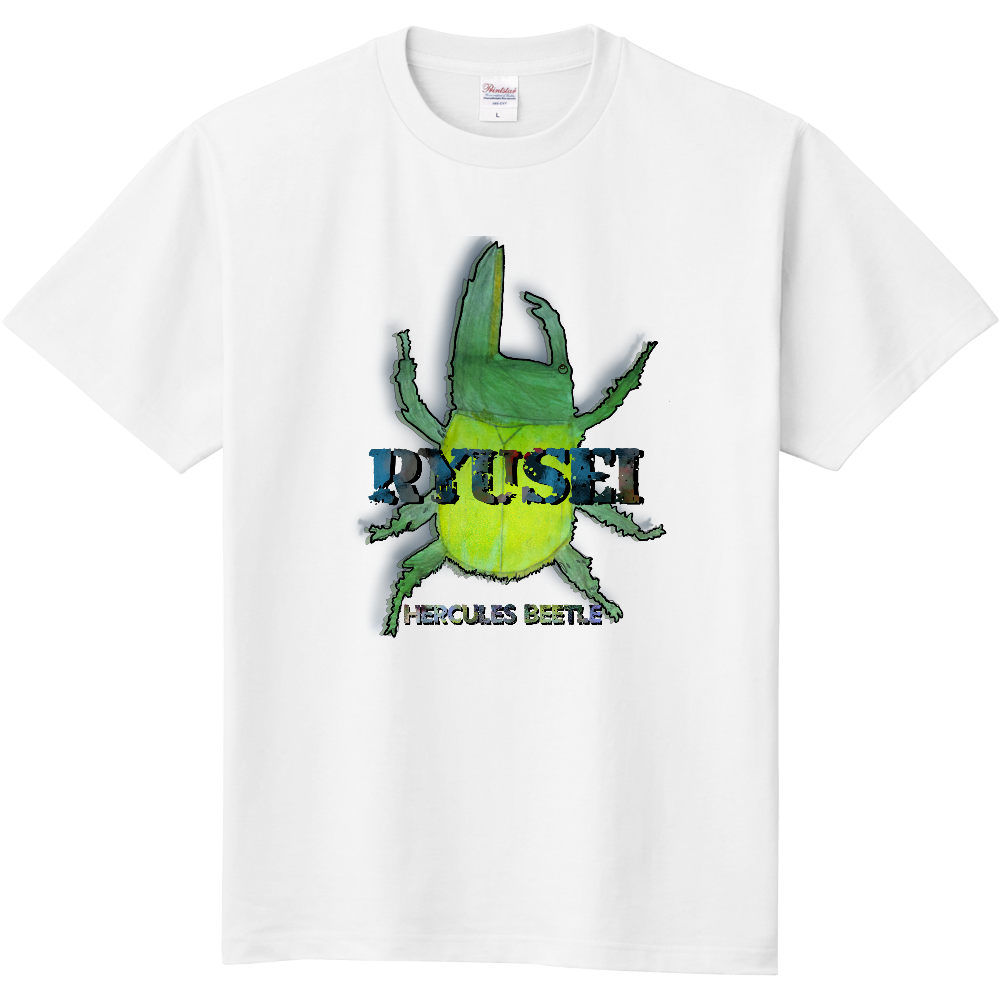 RYUSEI 専用デザイン