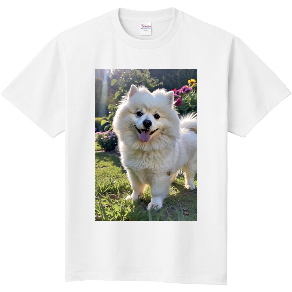 かわいいポメラニアン