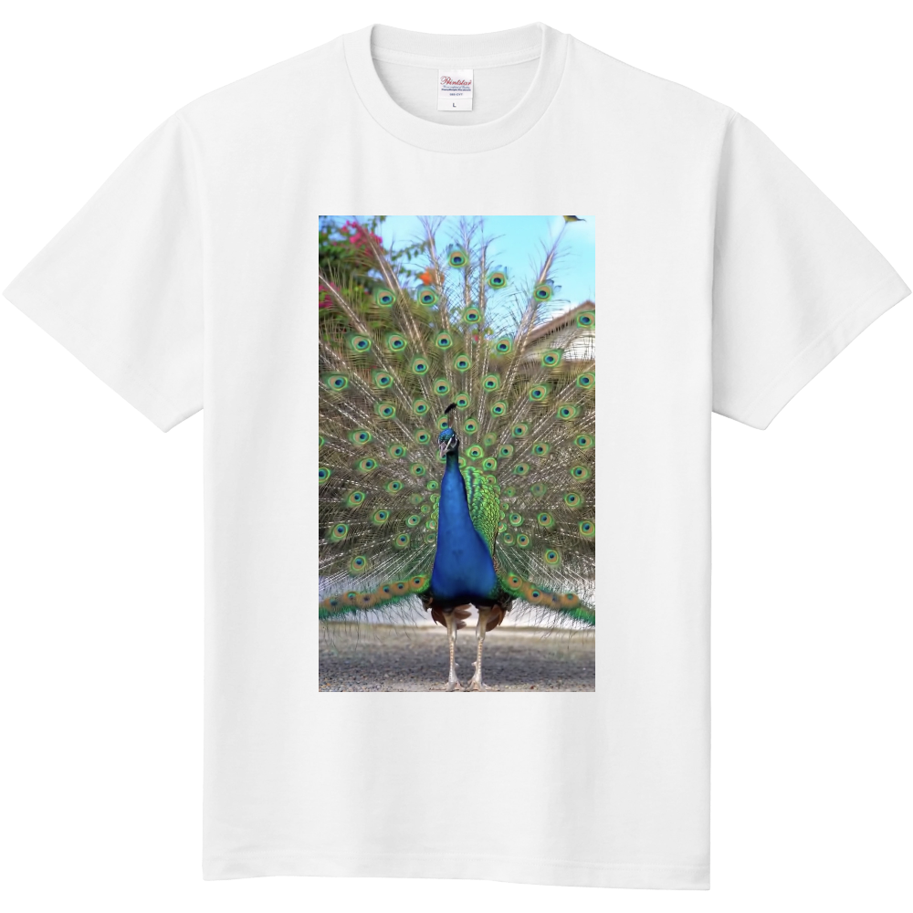 クジャクのTシャツ