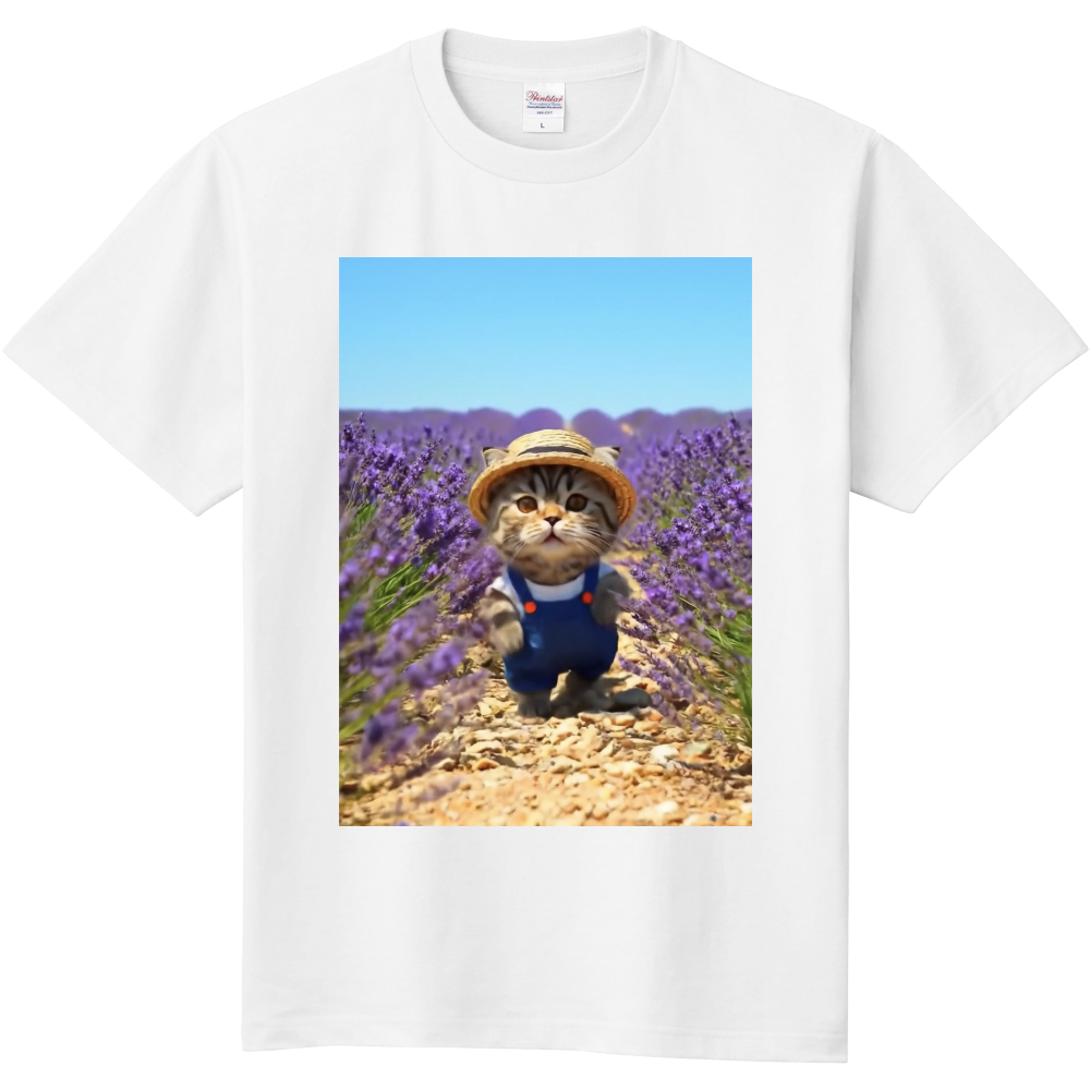 かわいい猫のTシャツ