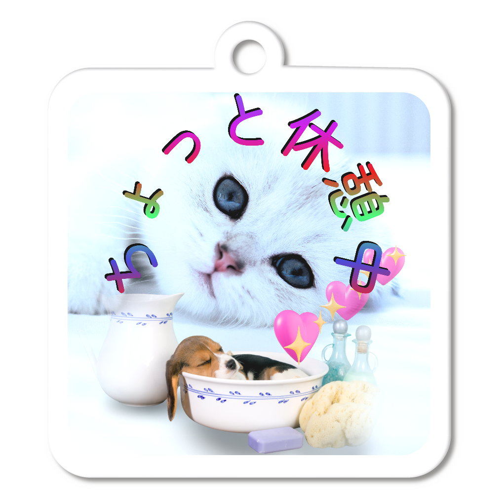 ネコとイヌの休憩タイム