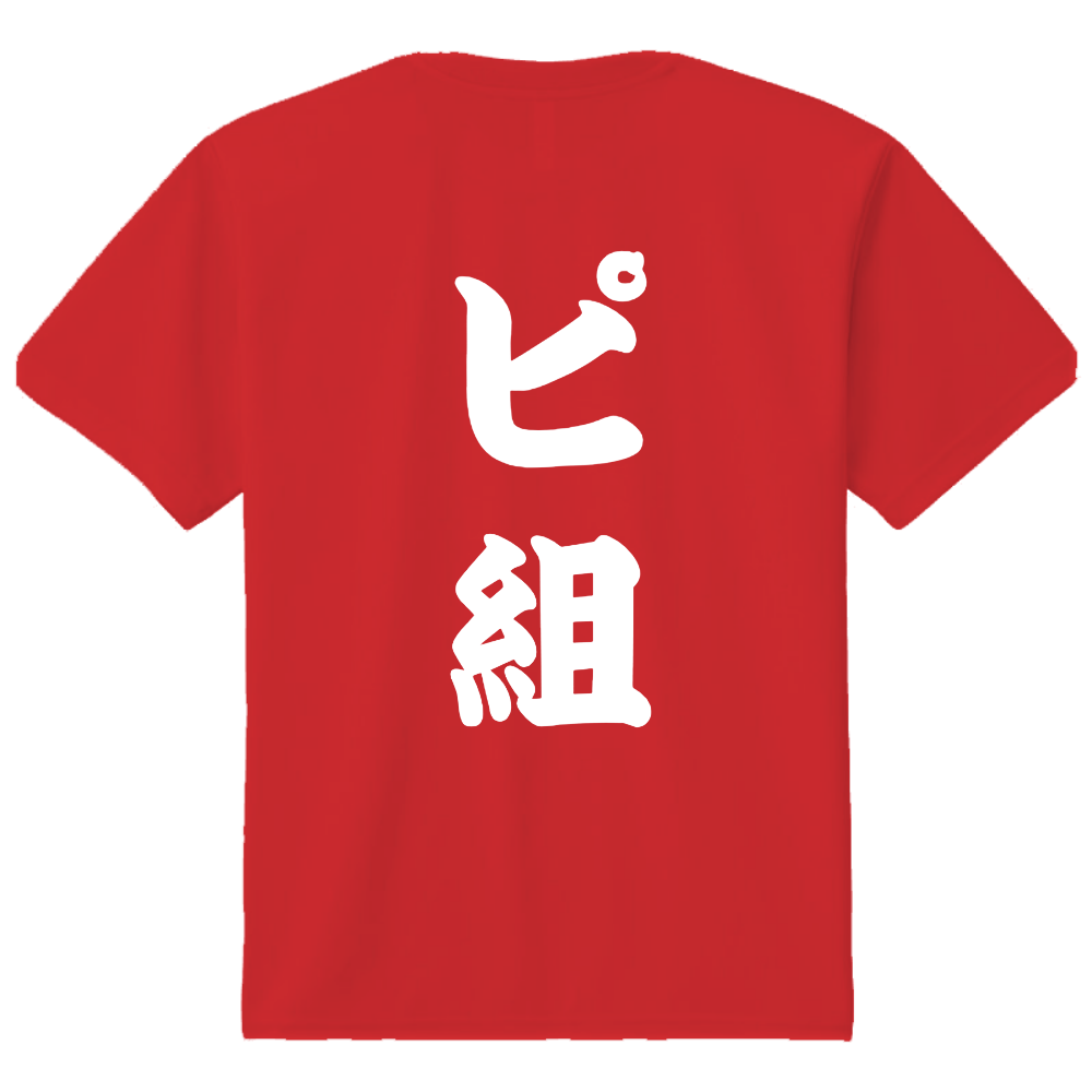 (背中)「ピ組」ピックルボール ドライTシャツ
