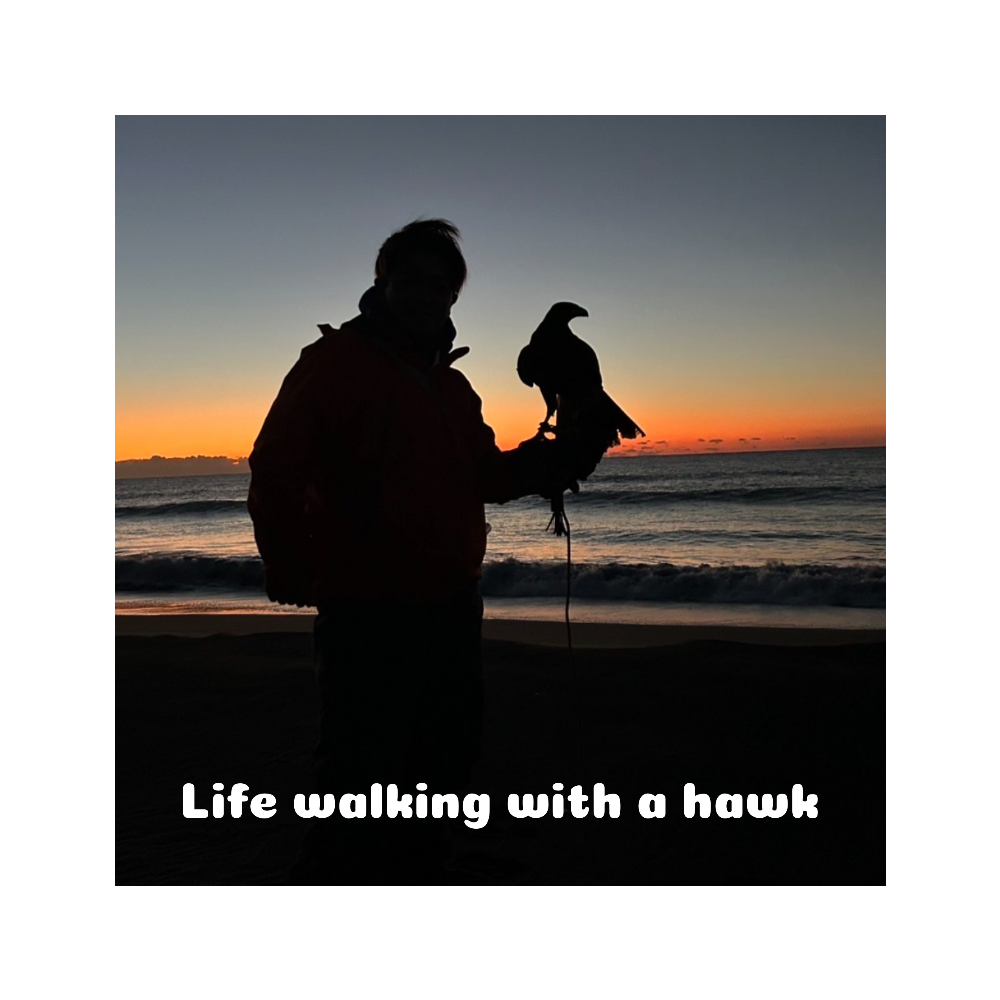 シルエットハンカチ