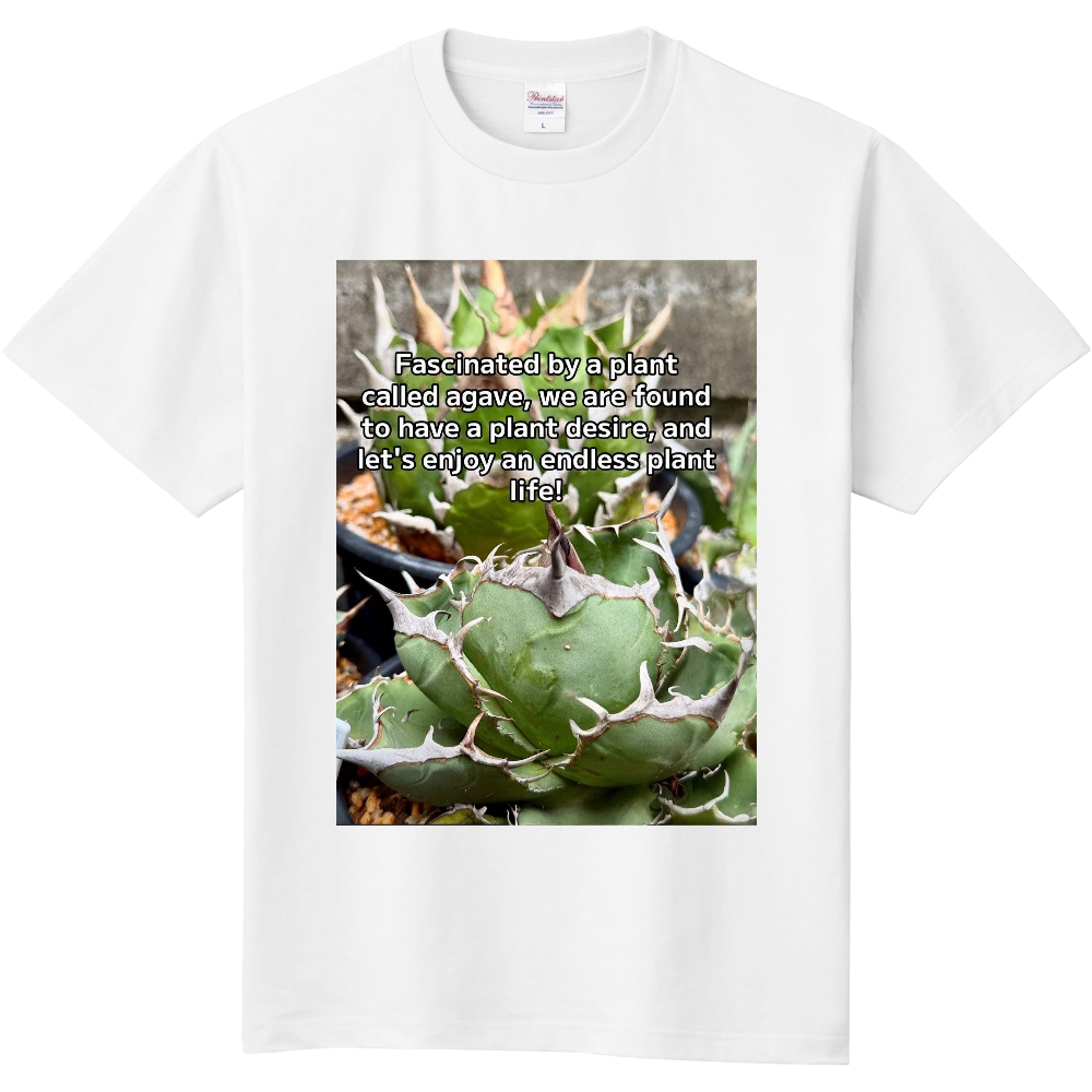 アガベ好きＴシャツ