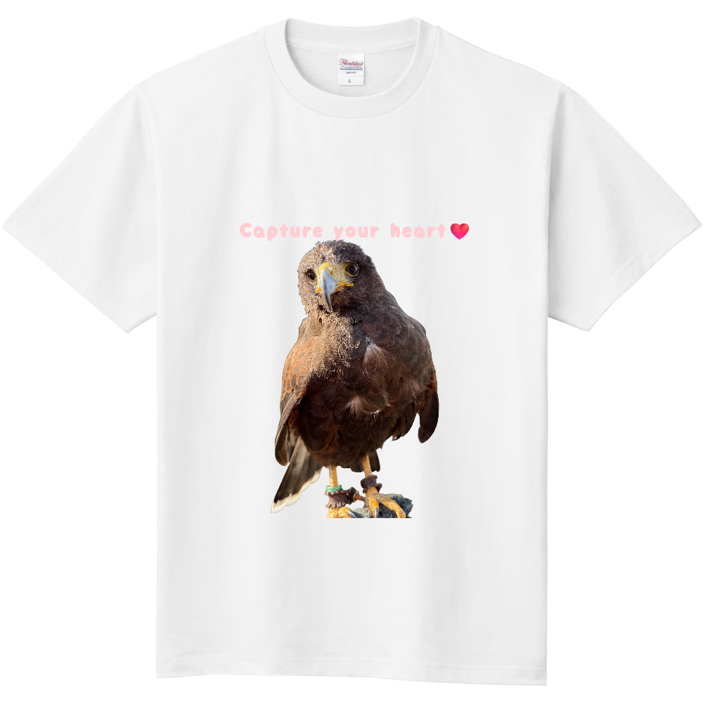 貴方の心を鷹掴み♡