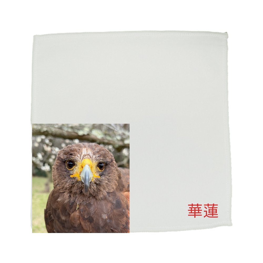 華蓮ちゃんタオル