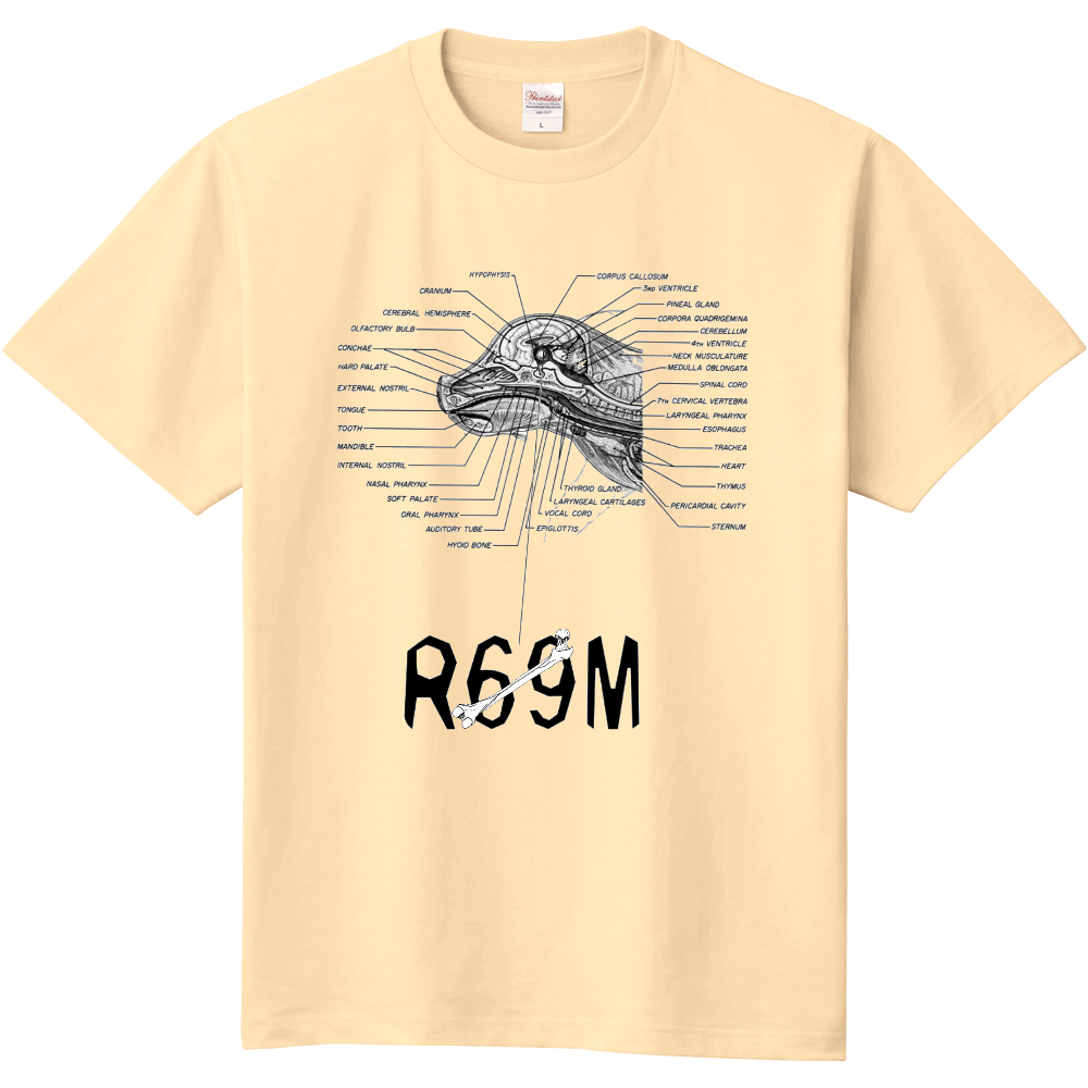 髑髏部屋 子豚2