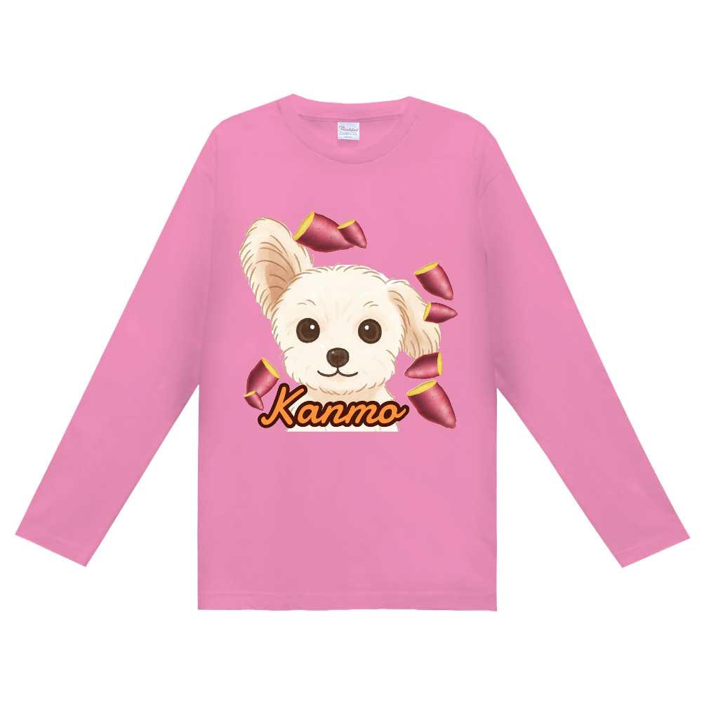 かんもイラストロンT