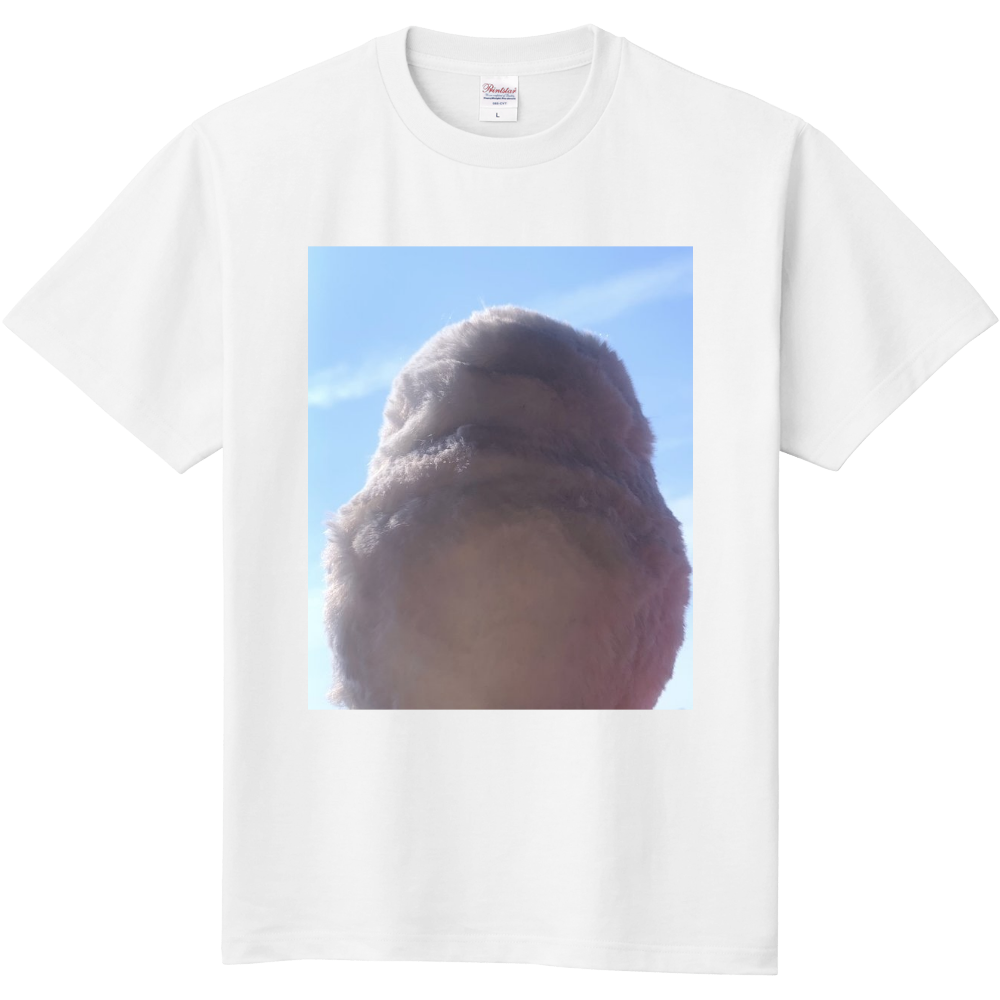 もふもふシマエナガ