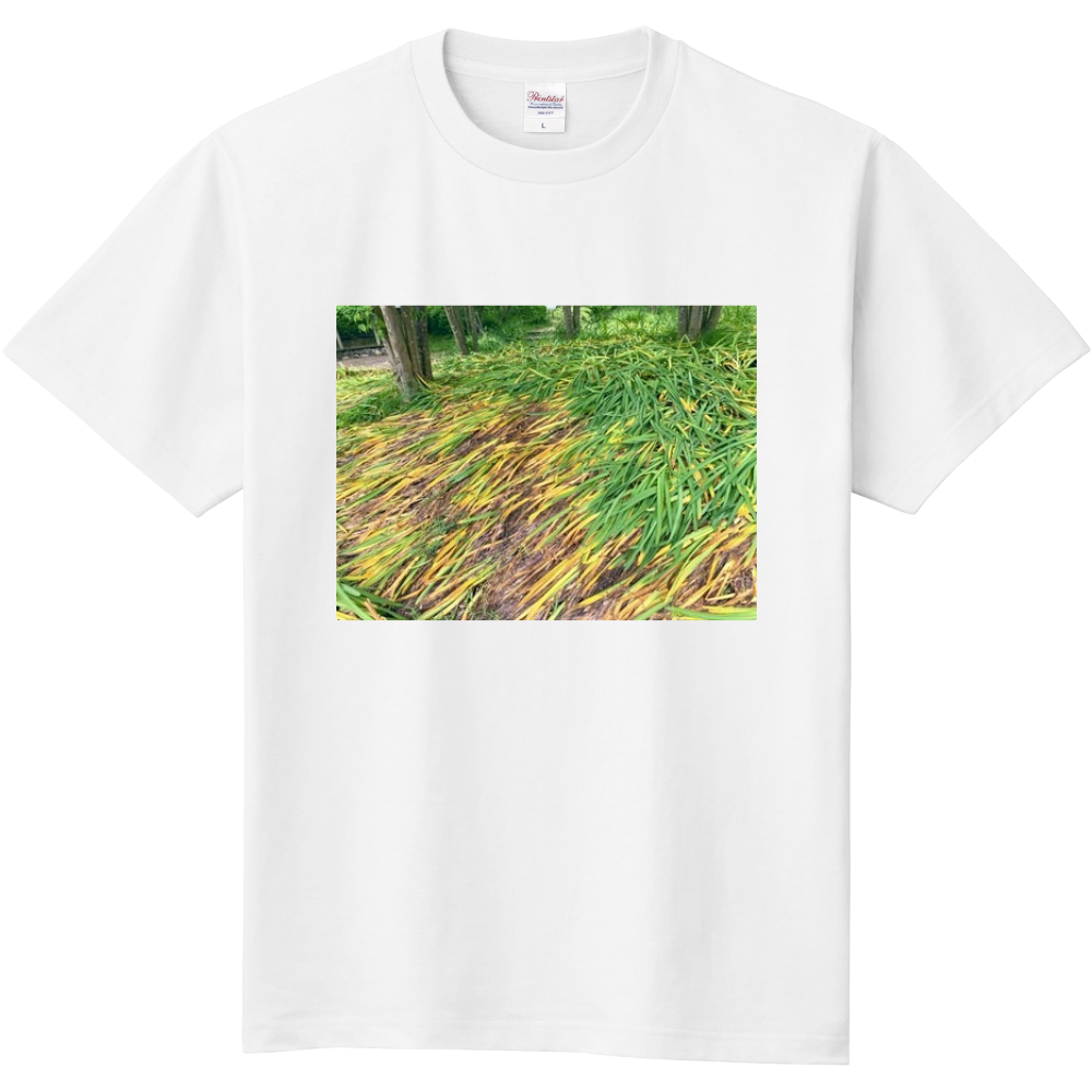 なぎ倒されても