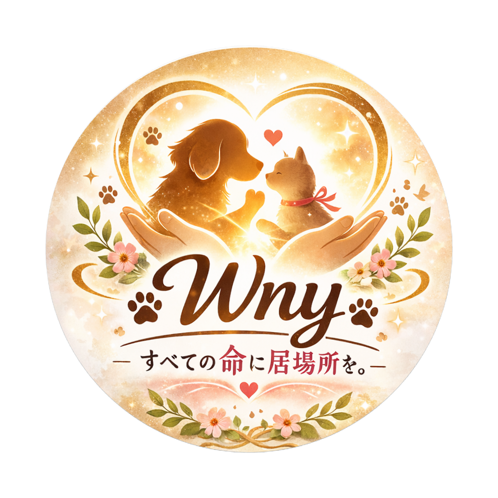 「2026年3月17日 22:31」に作成したデザイン