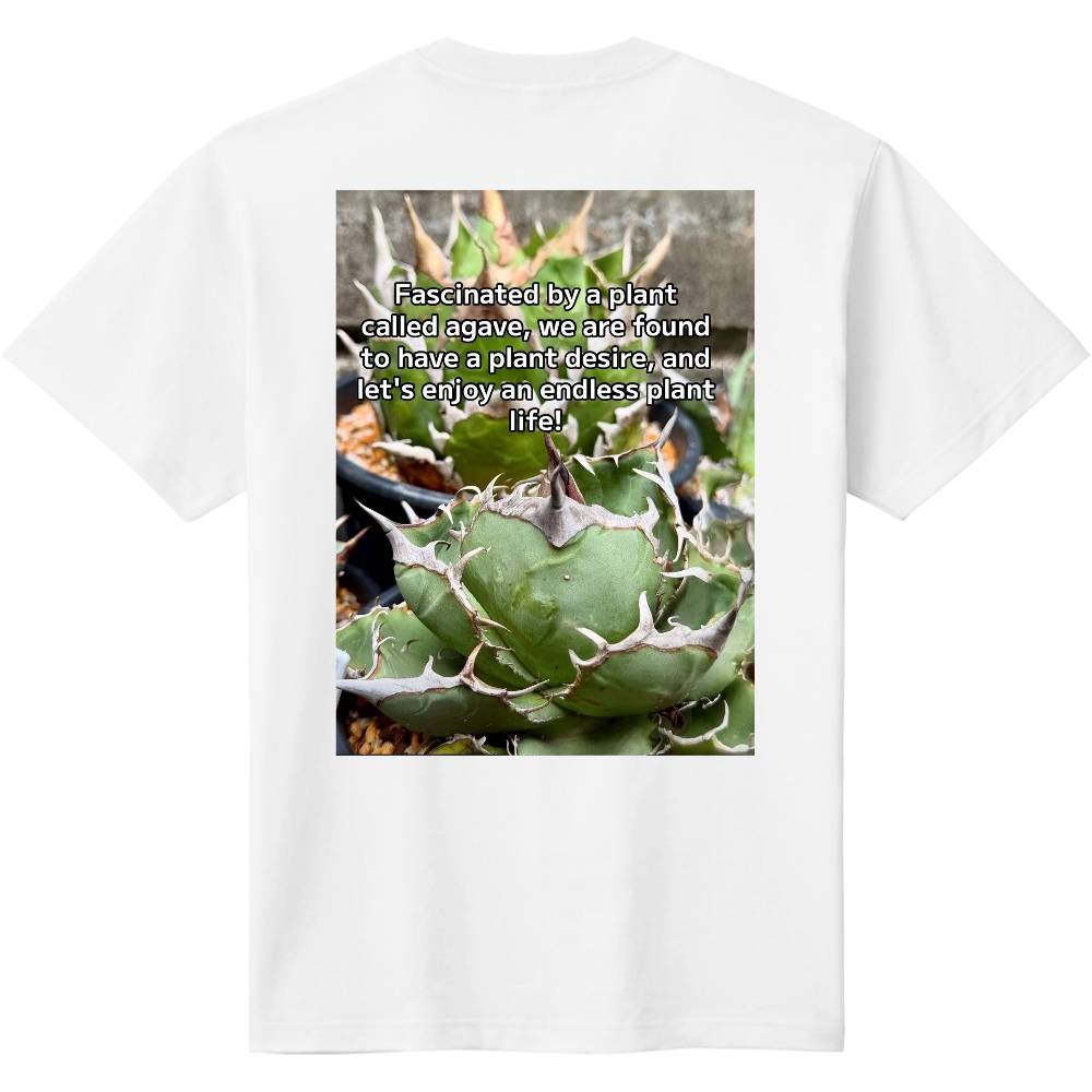 アガベバックプリントＴシャツ