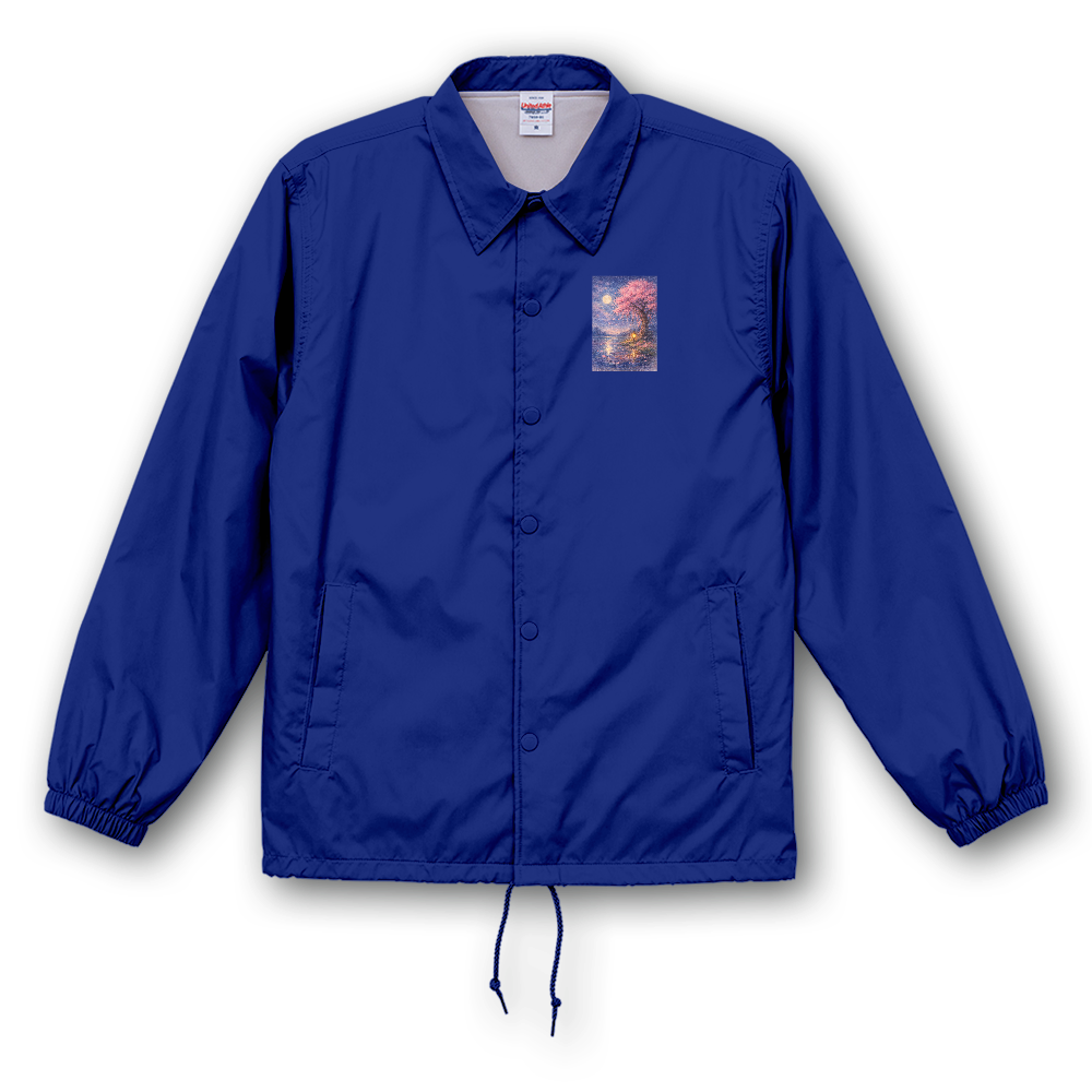 Sakura Night – 静かな夜に咲く