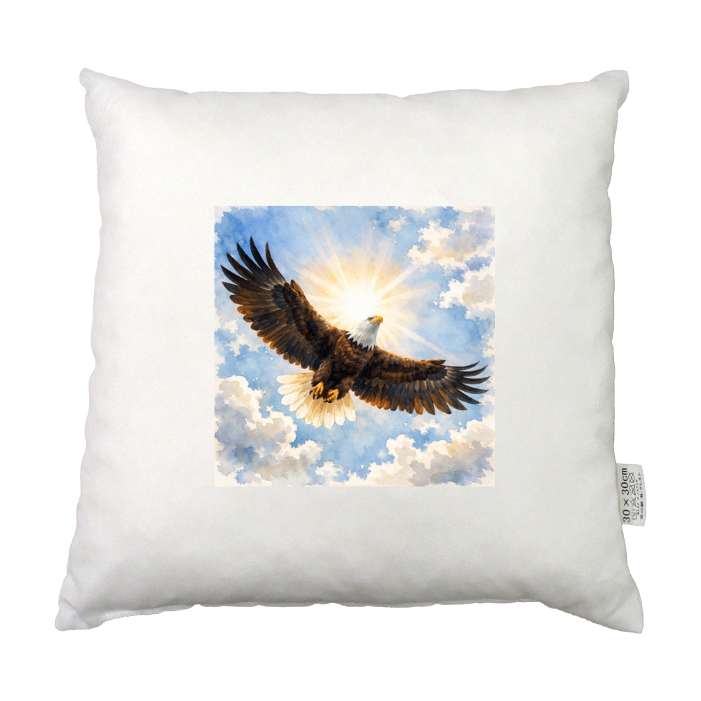 【鷲クッション】