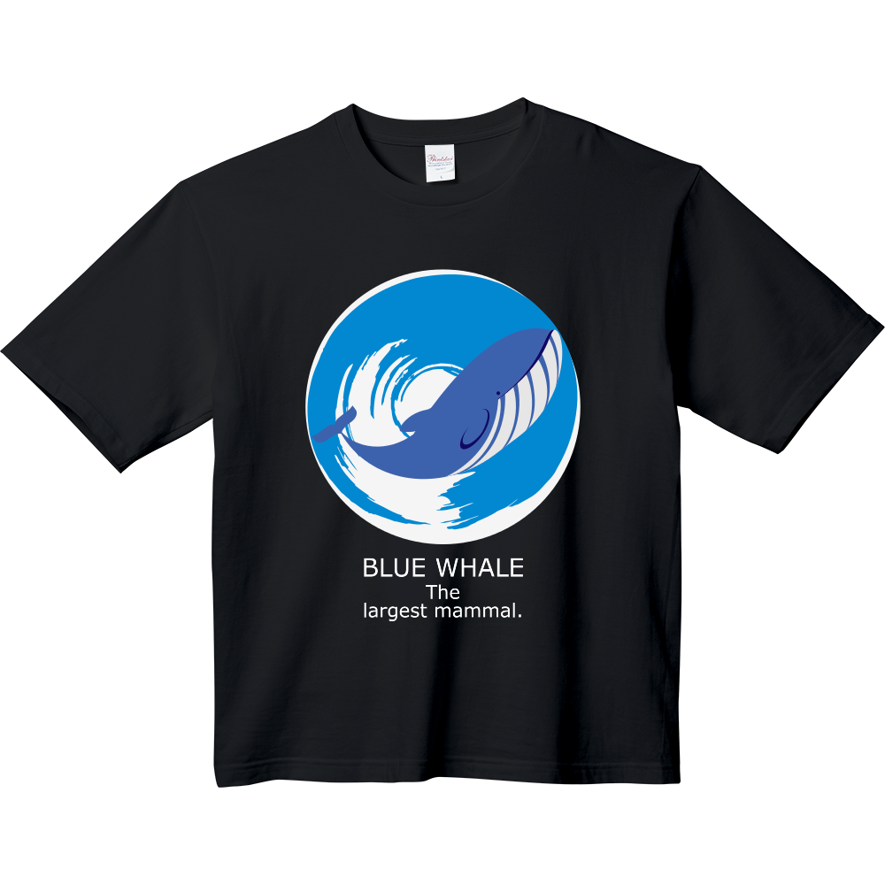 【ビッグＴ】クジラ