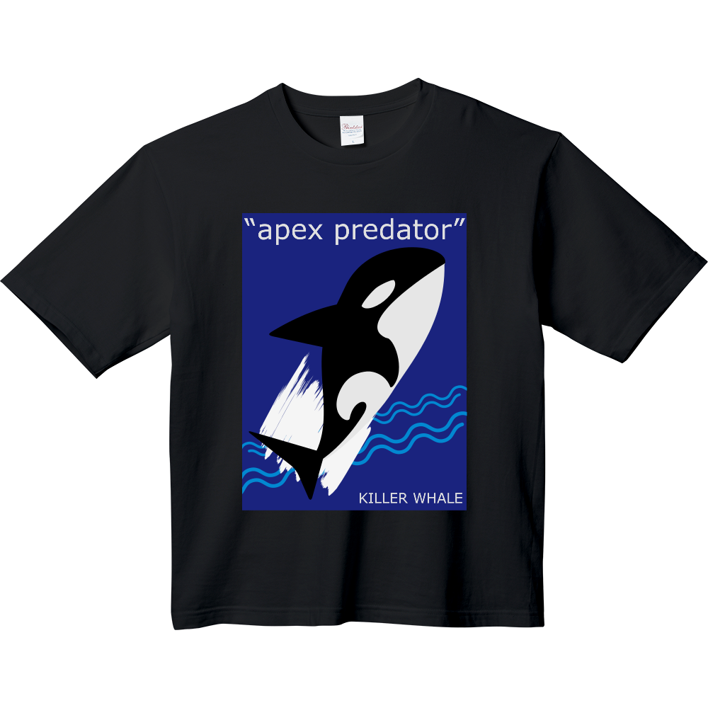 【ビッグＴ】シャチ