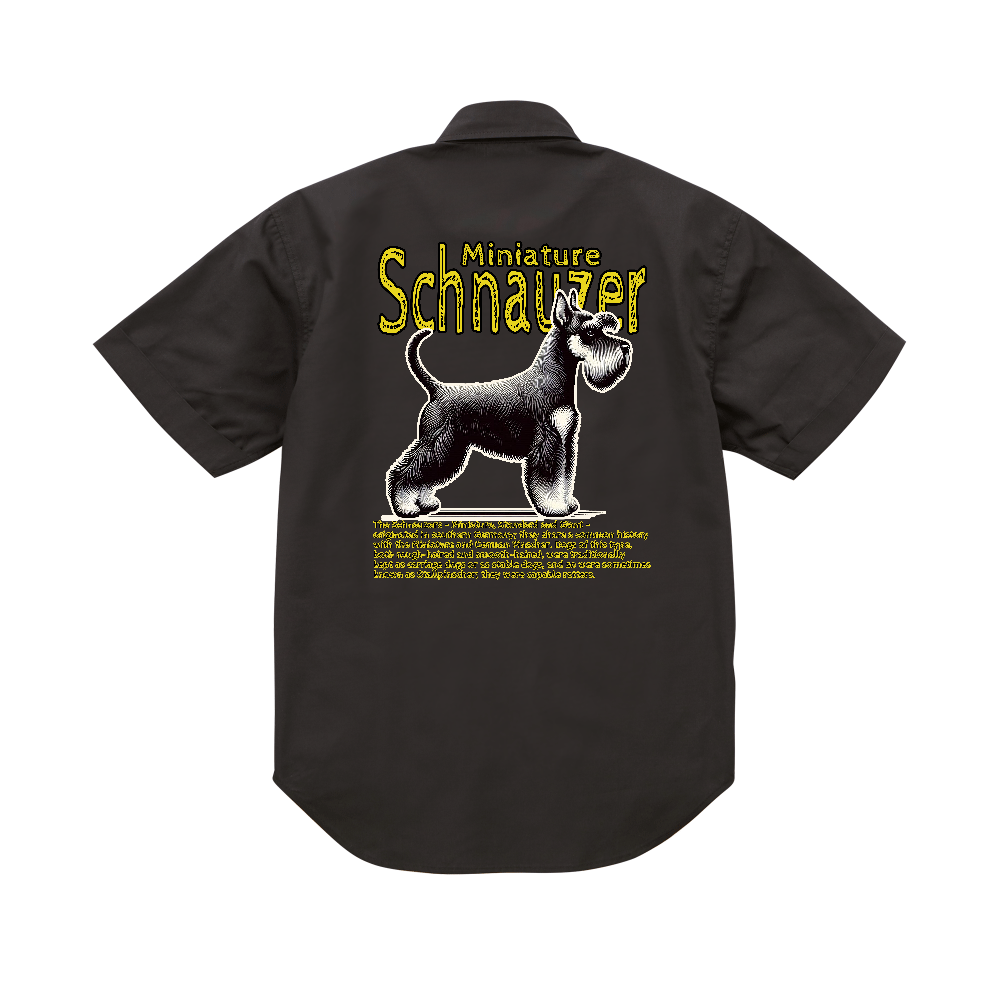 Miniature₋Schnauzer(ミニチュア・シュナウザー)₋1001