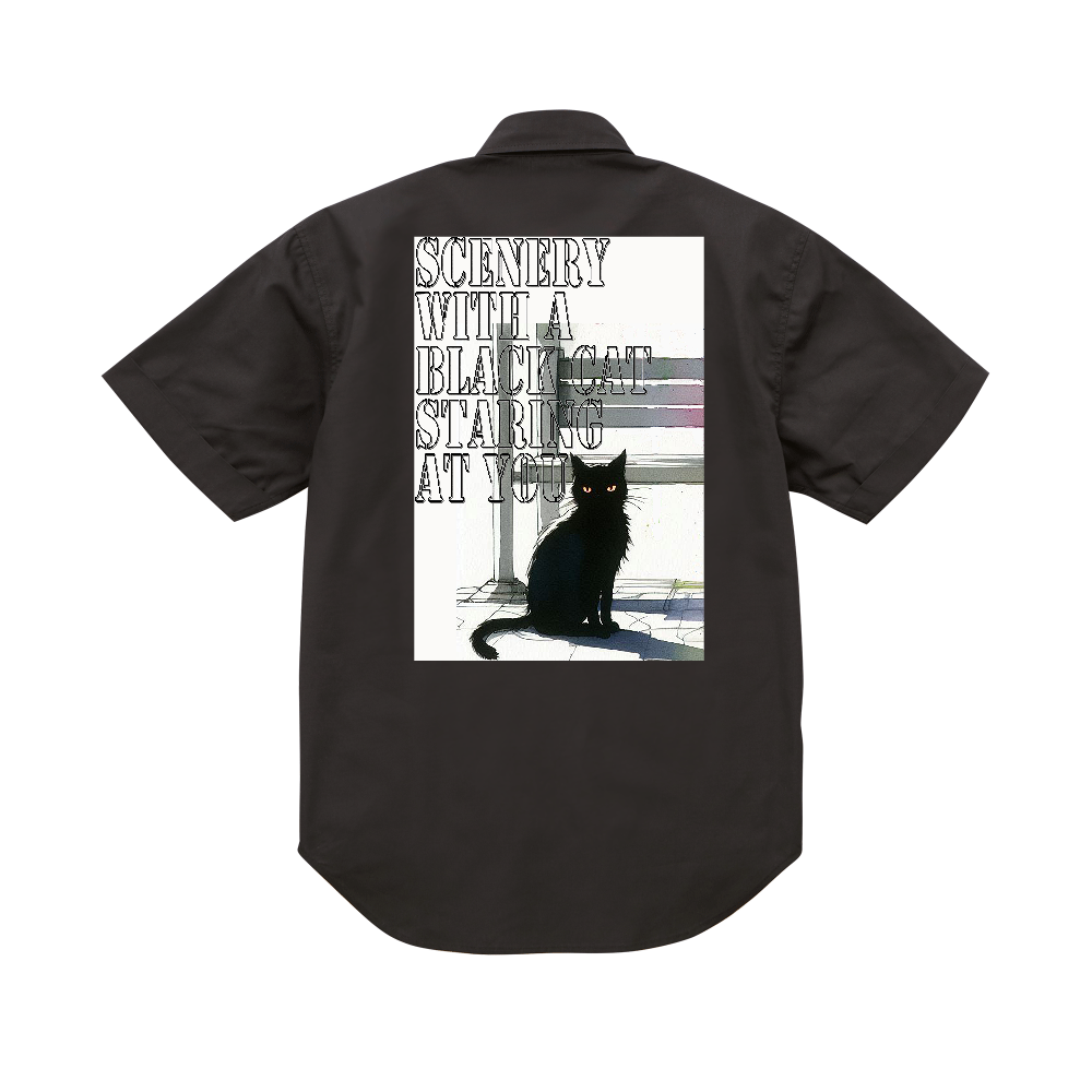 黒い猫がじっとあなたを見つめている風景