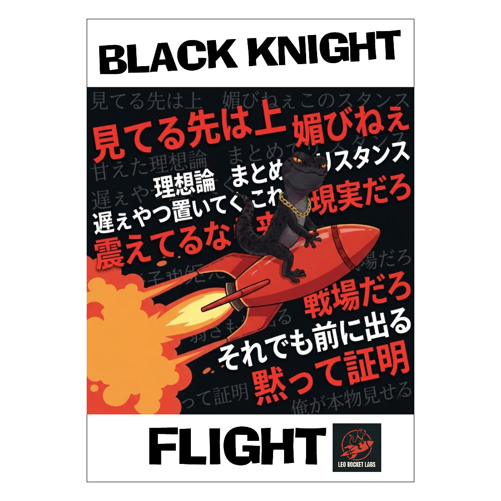 ブラックナイト・フライトポスター【約51.5cm × 72.8cm】
