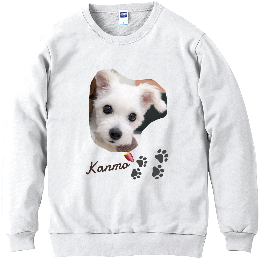 かんも実写トレーナー