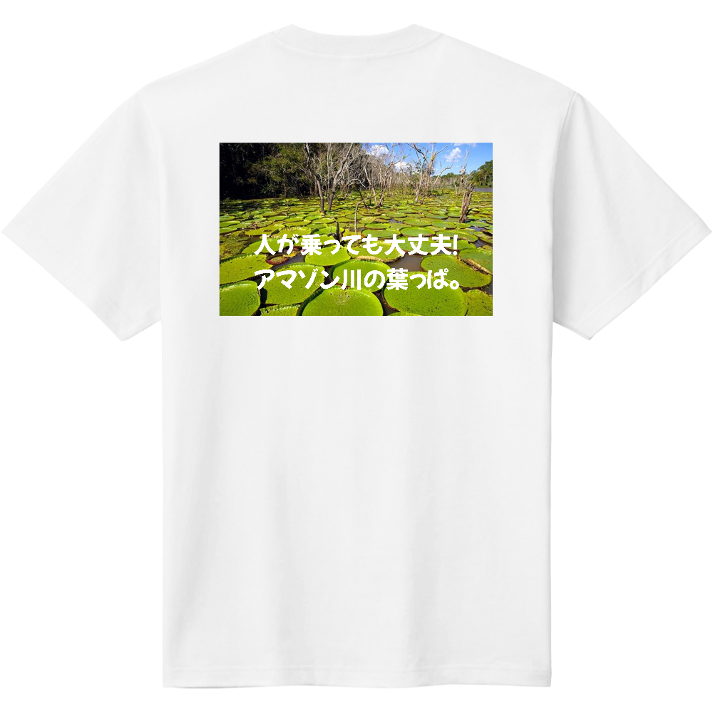 オオオニバス　Tシャツ1