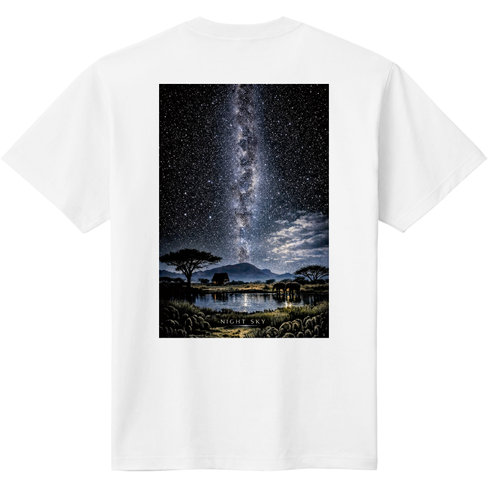 アフリカ　ナイトスカイ1