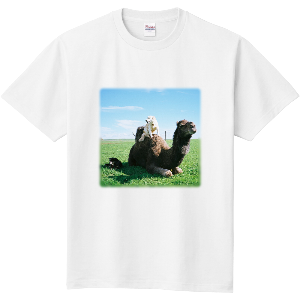 ラクダ・緑＜文字無し・前面＞