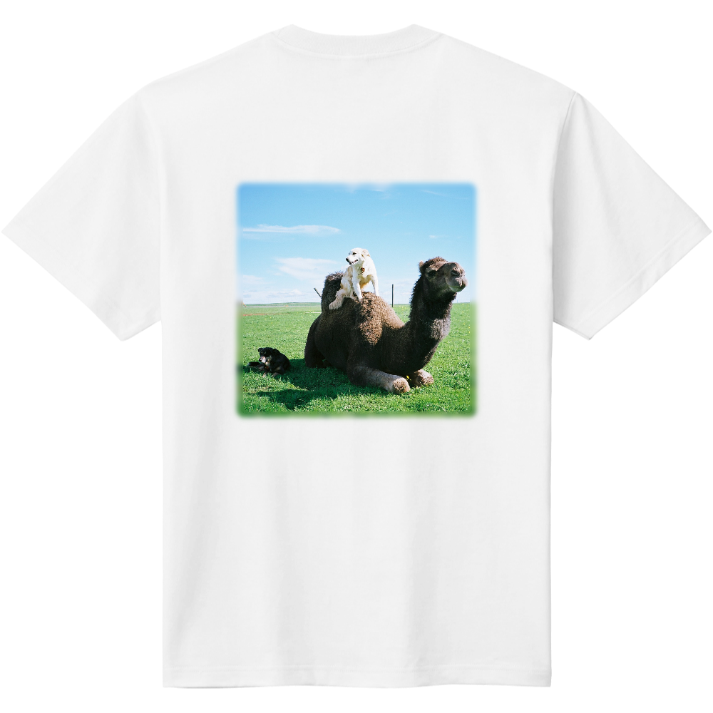 ラクダ・緑＜文字無し・背面＞