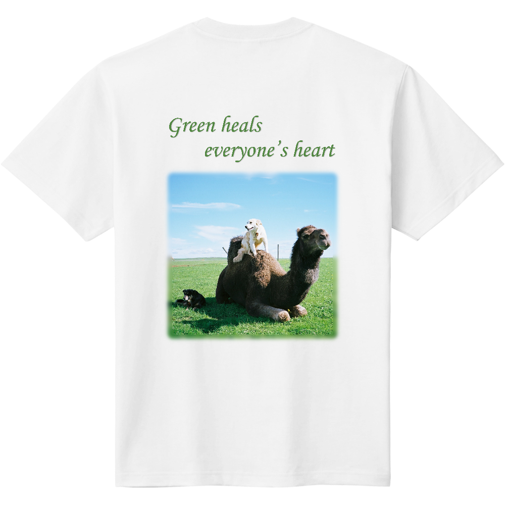  ラクダ・緑＜文字有り・背面＞